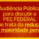banner-maioridade-penal-waldemar-borges-site